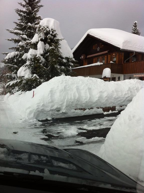 Chalet Erika Eriz Exterior photo