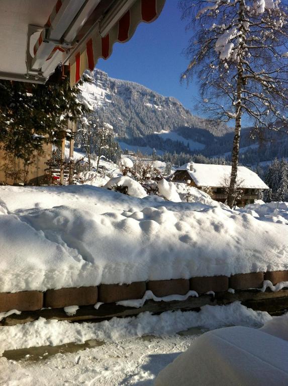 Chalet Erika Eriz Exterior photo